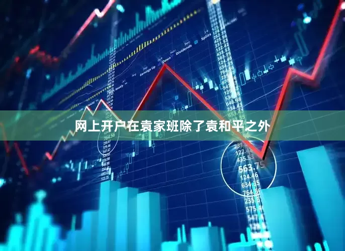 网上开户在袁家班除了袁和平之外